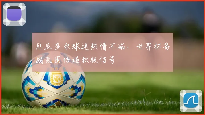 厄瓜多尔球迷热情不减，世界杯备战氛围传递积极信号