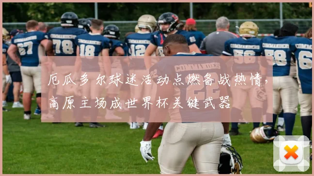 厄瓜多尔球迷活动点燃备战热情，高原主场成世界杯关键武器