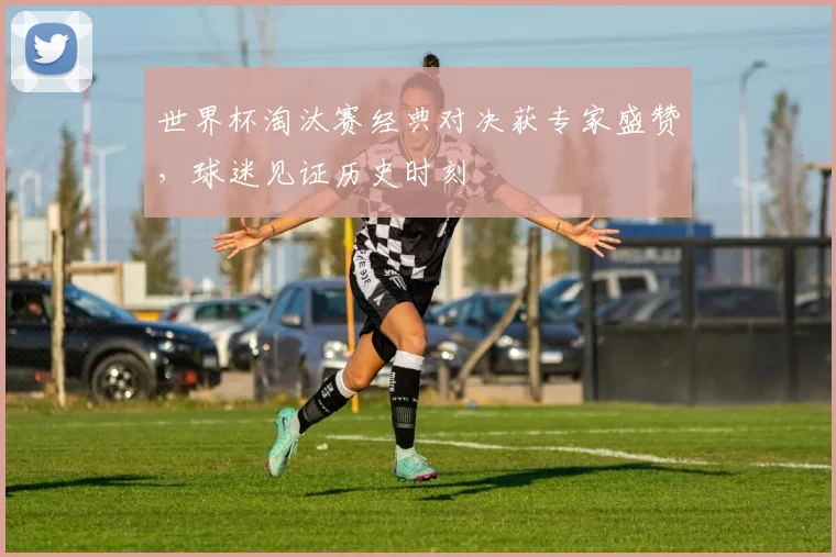 世界杯淘汰赛经典对决获专家盛赞，球迷见证历史时刻