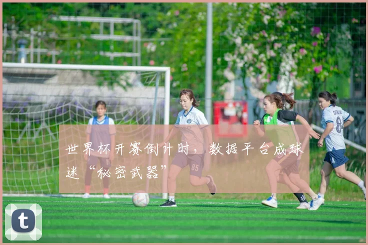 世界杯开赛倒计时，数据平台成球迷“秘密武器”